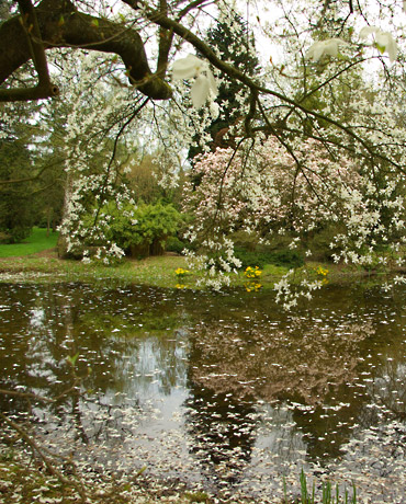 Foto: Dick Noordzij